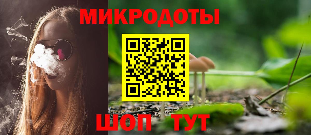 что такое наркотик  Галлюциногенные грибы GOLDEN TEACHER  Вход с VPN  Галлюциногенные грибы прущие грибы  Кольчугино 
